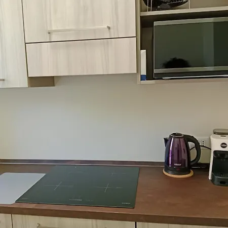 Near Expo And Center Apartament *