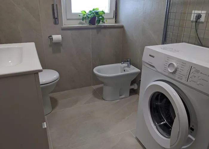 Near Expo And Center