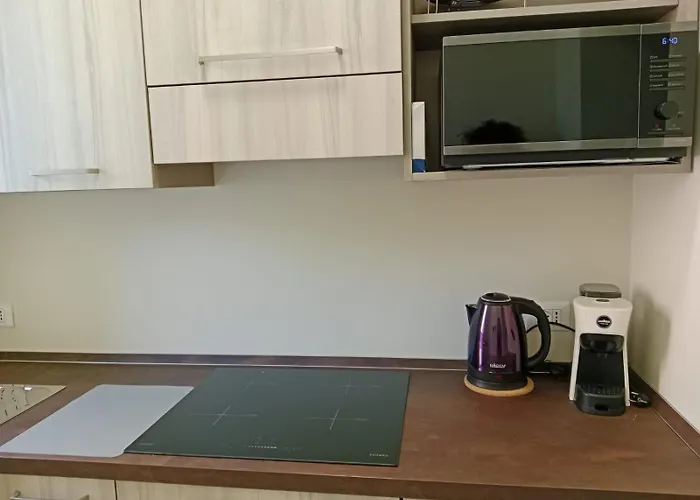 Near Expo And Center 아파트 *