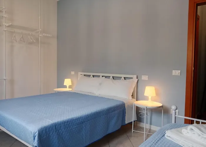 Near Expo And Center